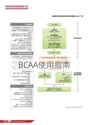 BCAA使用指南