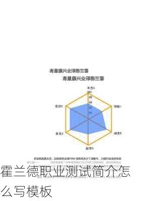 霍兰德职业测试简介怎么写模板