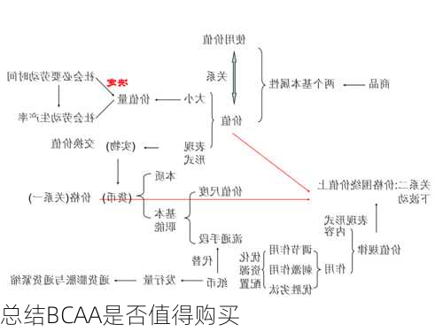 总结BCAA是否值得购买