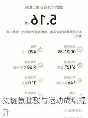 支链氨基酸与运动成绩提升