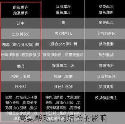 亮氨酸对肌肉增长的影响