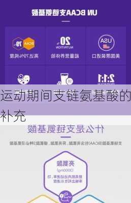 运动期间支链氨基酸的补充