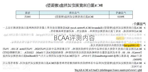 BCAA评测内容