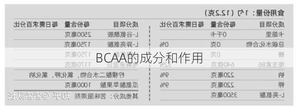 BCAA的成分和作用