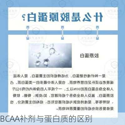 BCAA补剂与蛋白质的区别