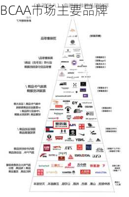 BCAA市场主要品牌