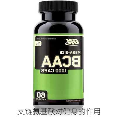 支链氨基酸对健身的作用