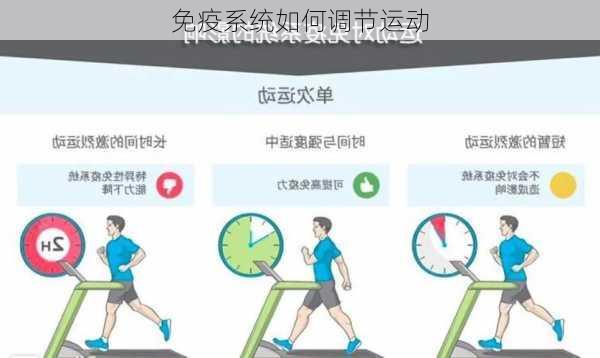 免疫系统如何调节运动