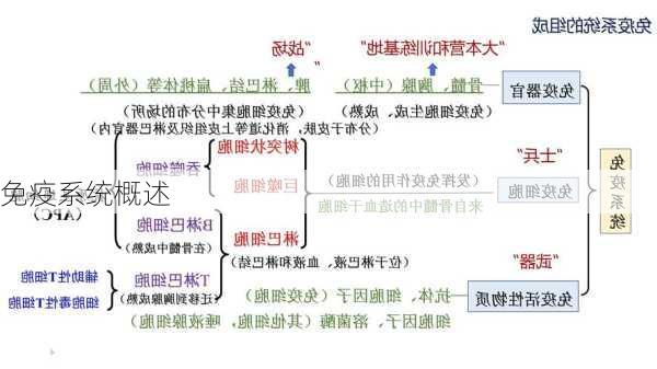 免疫系统概述