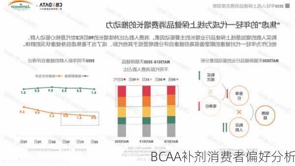 BCAA补剂消费者偏好分析