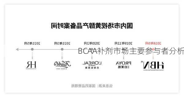 BCAA补剂市场主要参与者分析