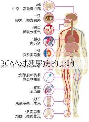 BCAA对糖尿病的影响