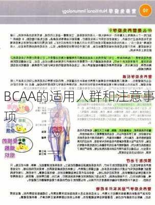BCAA的适用人群和注意事项