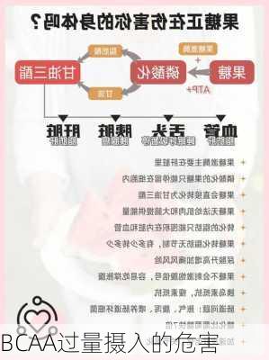 BCAA过量摄入的危害