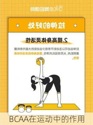 BCAA在运动中的作用