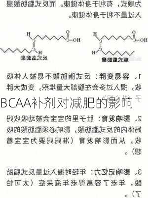 BCAA补剂对减肥的影响