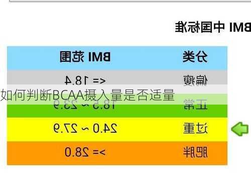 如何判断BCAA摄入量是否适量