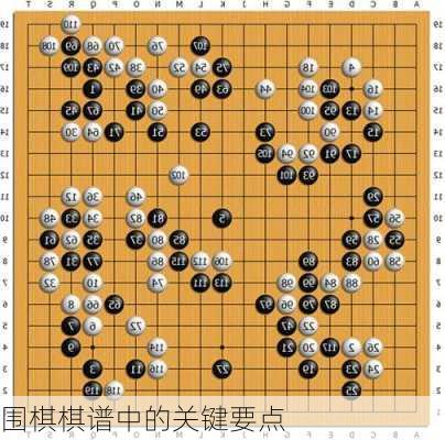 围棋棋谱中的关键要点