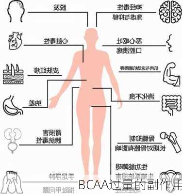 BCAA过量的副作用