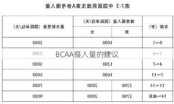 BCAA摄入量的建议
