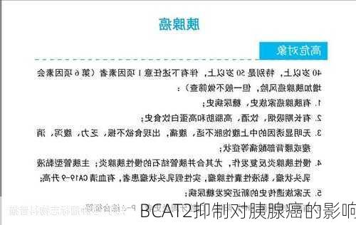BCAT2抑制对胰腺癌的影响
