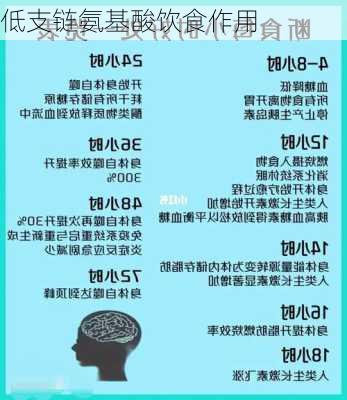 低支链氨基酸饮食作用