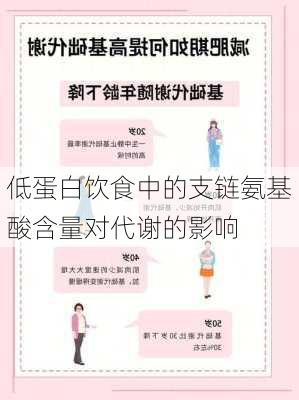 低蛋白饮食中的支链氨基酸含量对代谢的影响