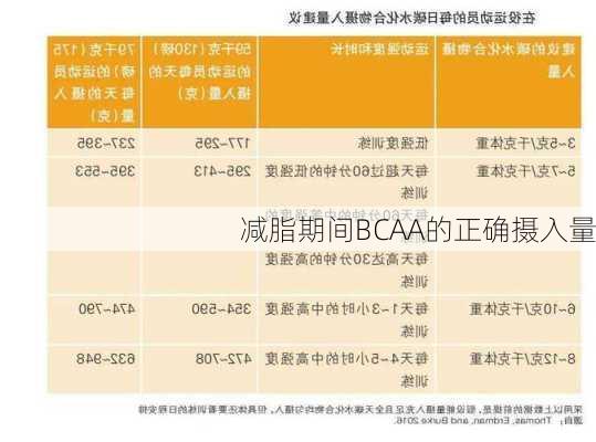 减脂期间BCAA的正确摄入量