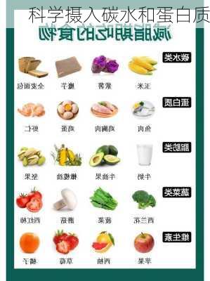 科学摄入碳水和蛋白质