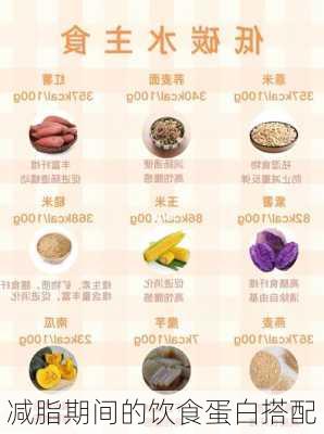 减脂期间的饮食蛋白搭配