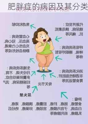 肥胖症的病因及其分类