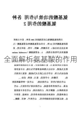 全面解析氨基酸的作用