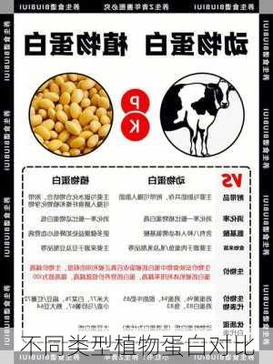 不同类型植物蛋白对比
