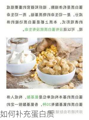 如何补充蛋白质