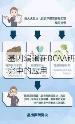 基因编辑在BCAA研究中的应用