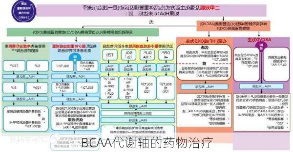 BCAA代谢轴的药物治疗