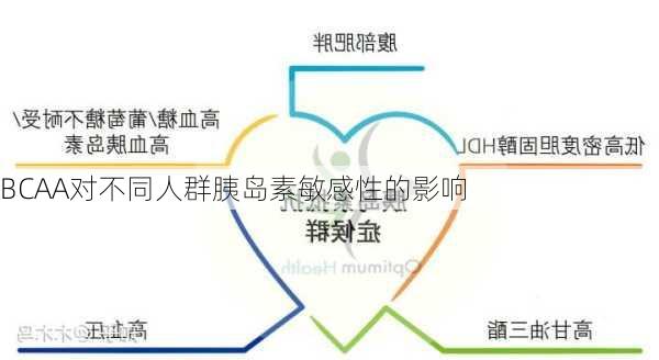 BCAA对不同人群胰岛素敏感性的影响