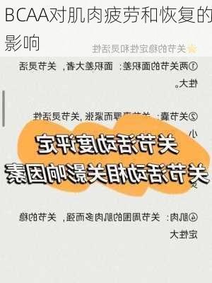 BCAA对肌肉疲劳和恢复的影响