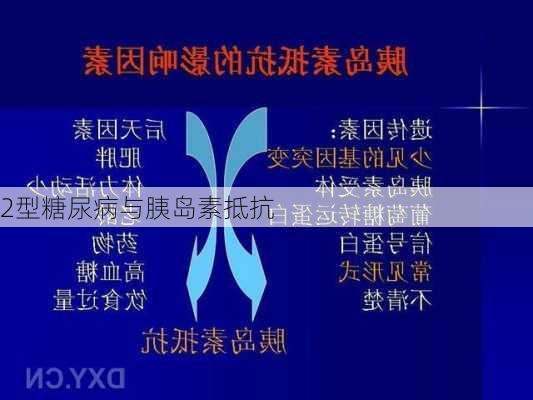 2型糖尿病与胰岛素抵抗
