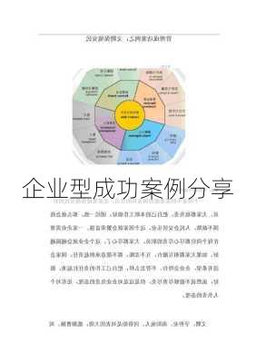 企业型成功案例分享