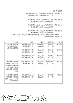 个体化医疗方案