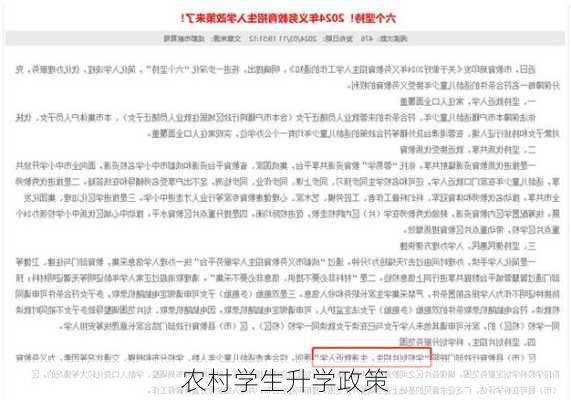 农村学生升学政策