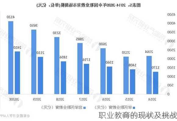 职业教育的现状及挑战