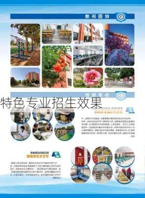 特色专业招生效果