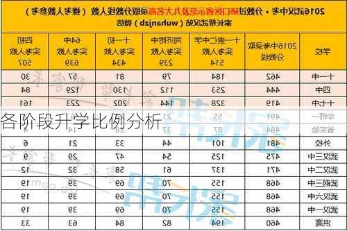 各阶段升学比例分析