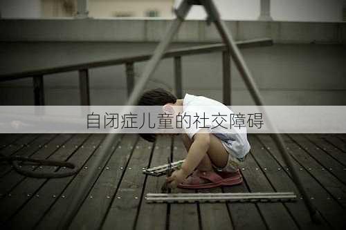 自闭症儿童的社交障碍