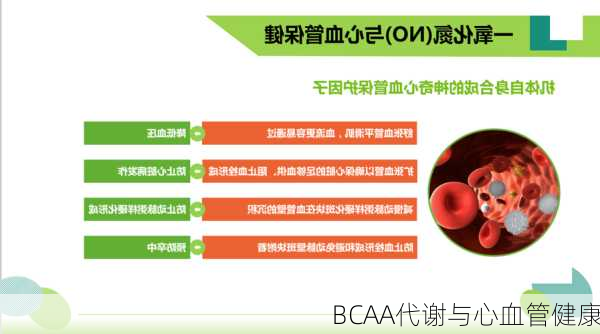 BCAA代谢与心血管健康