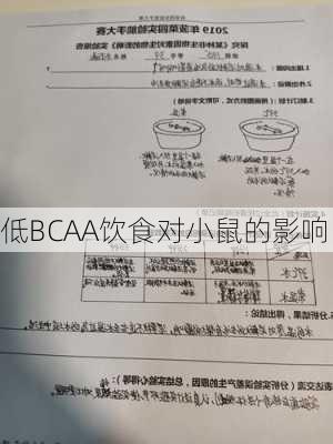低BCAA饮食对小鼠的影响