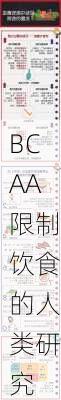 BCAA限制饮食的人类研究