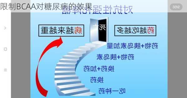 限制BCAA对糖尿病的效果